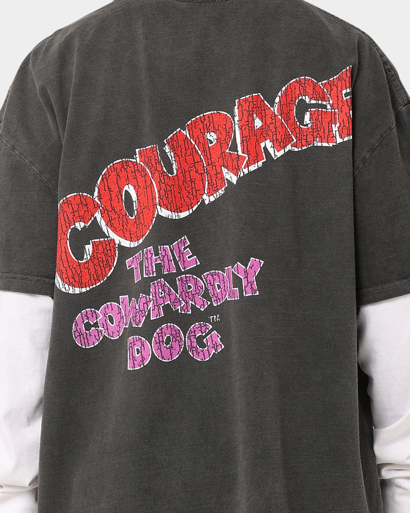 73Studio X Cartoon Network Courage Heavyweight T-Shirt Black Wash